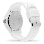 ICE forever