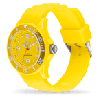 ICE forever