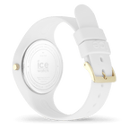 ICE glam