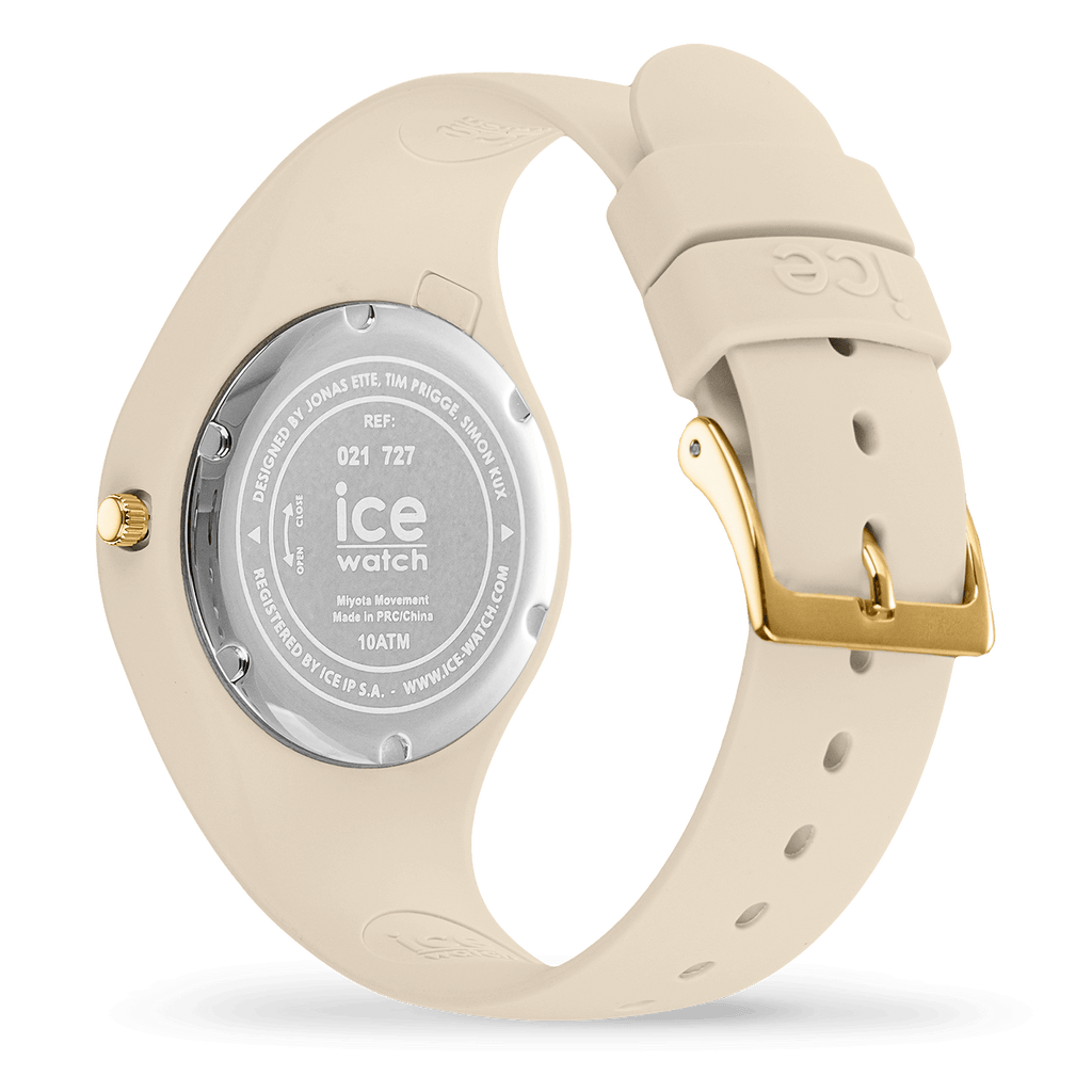 ICE leopard