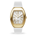 ICE dome