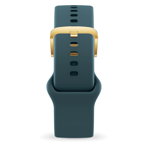 Band 1.70