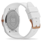 ICE pw