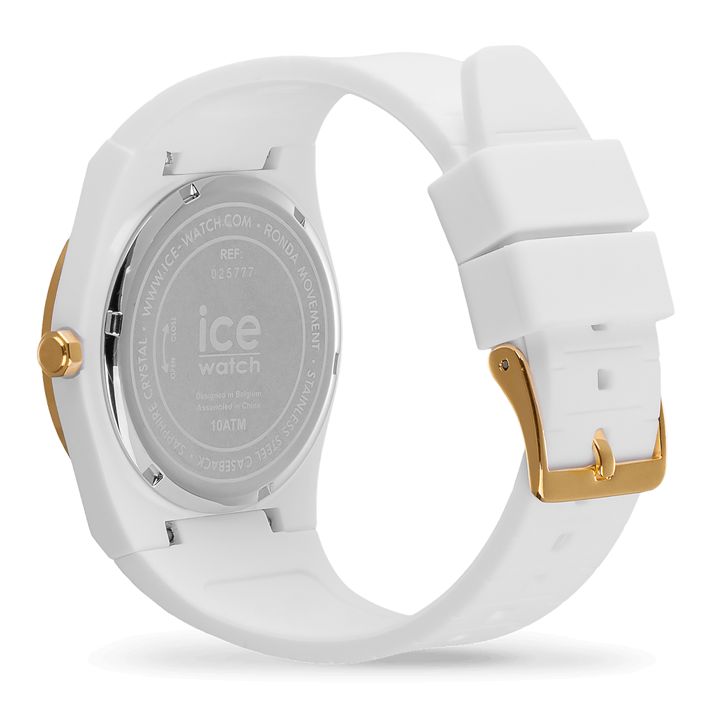 ICE pw