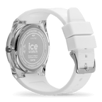 ICE pw