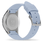 ICE bubble