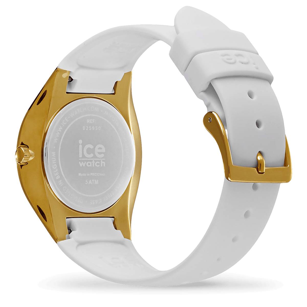 ICE bubble