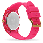 ICE vip