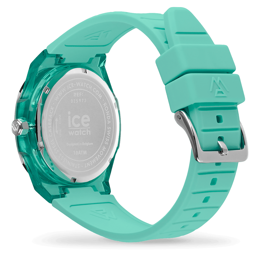 ICE vip
