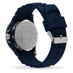 ICE forever
