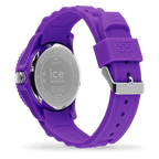 ICE forever