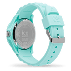 ICE forever