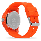 ICE forever